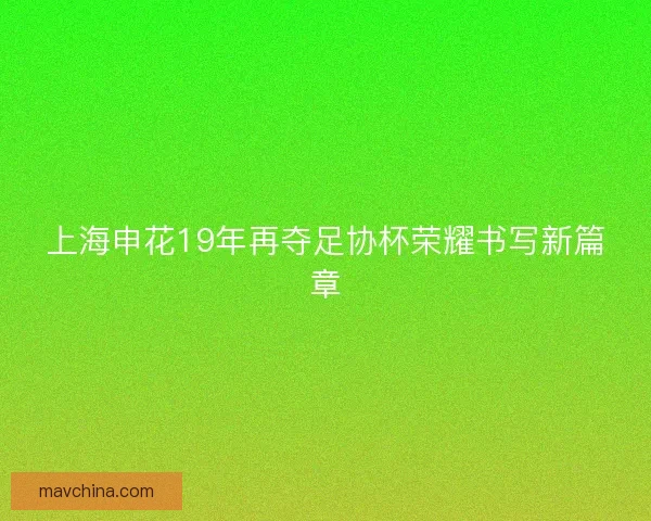 上海申花19年再夺足协杯荣耀书写新篇章 上海申花19年再夺足协杯荣耀书写新篇章